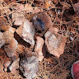 Meet your Posher, Brittney